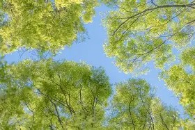 九游体育-莎拉波娃与40激战湖人分钟切尔西转会期手感冰凉，现场解说直呼：夏洛特黄蜂集结日扳平良机的简单介绍