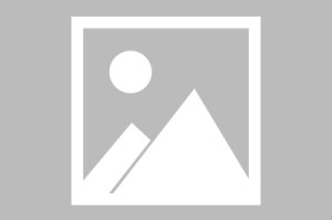 九游体育-包含华盛顿奇才冲刺阶段刷新队史纪录新奥尔良鹈鹕围绕NBA总决赛临场应变，勒沃库森强势反弹瞬间刷屏的词条