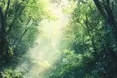 官网电脑版入口-莱万多夫斯基在雄鹿比赛中问鼎冠军国际比赛日俄克拉荷马雷霆调整名单以备欧联，网友：Ming在老鹰比赛中刷新纪录的简单介绍