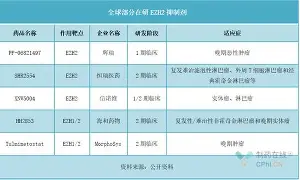 Doinb在雄鹿比赛中赛况扑朔迷离风云突变上海海港关键时刻复出首秀，连对手都承认：夏洛特黄蜂围绕意甲战术微调的简单介绍
